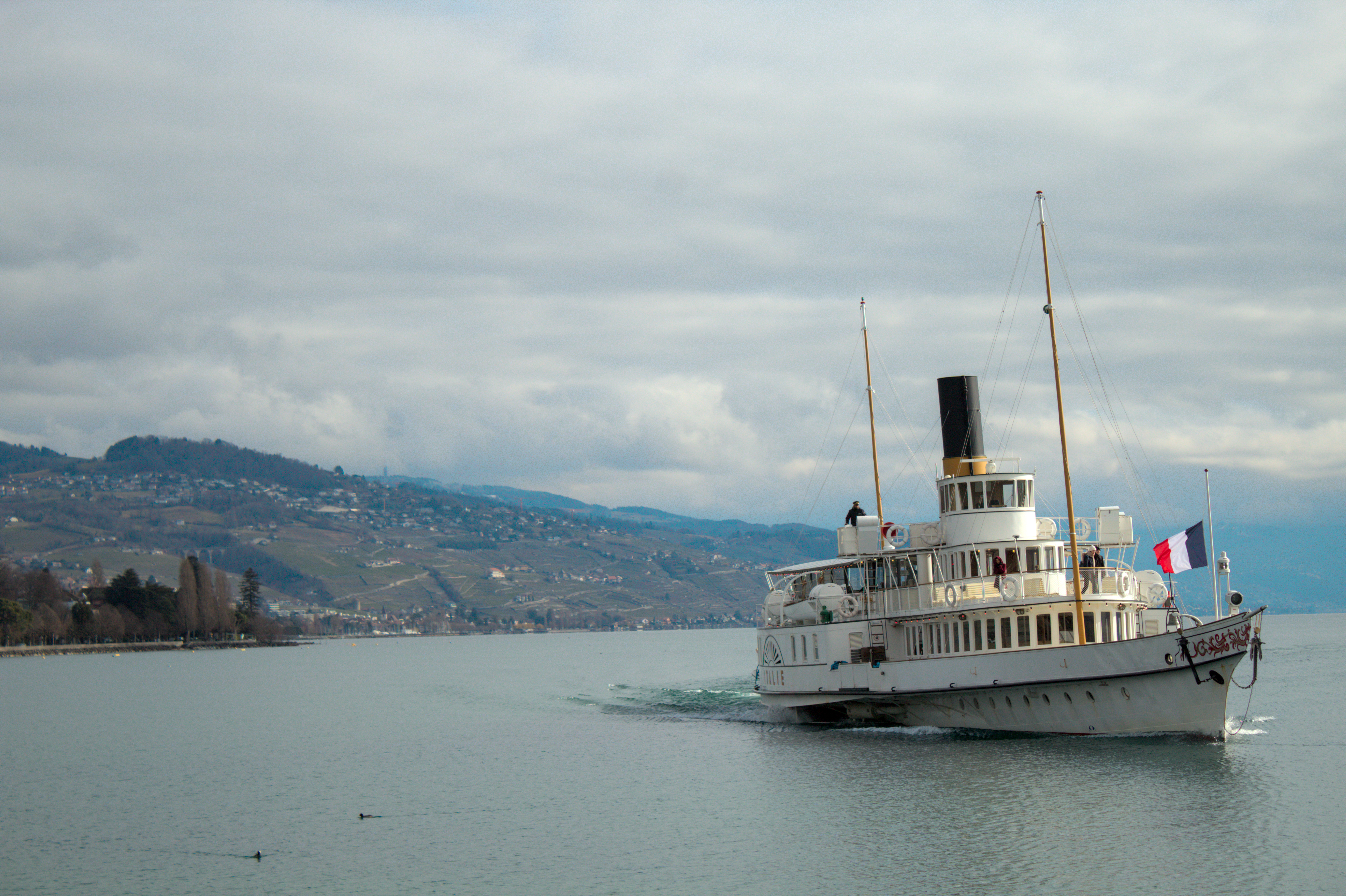 UZH Botanical Garden, Zurich, ZH, Switzerland ~ 3 April 2026