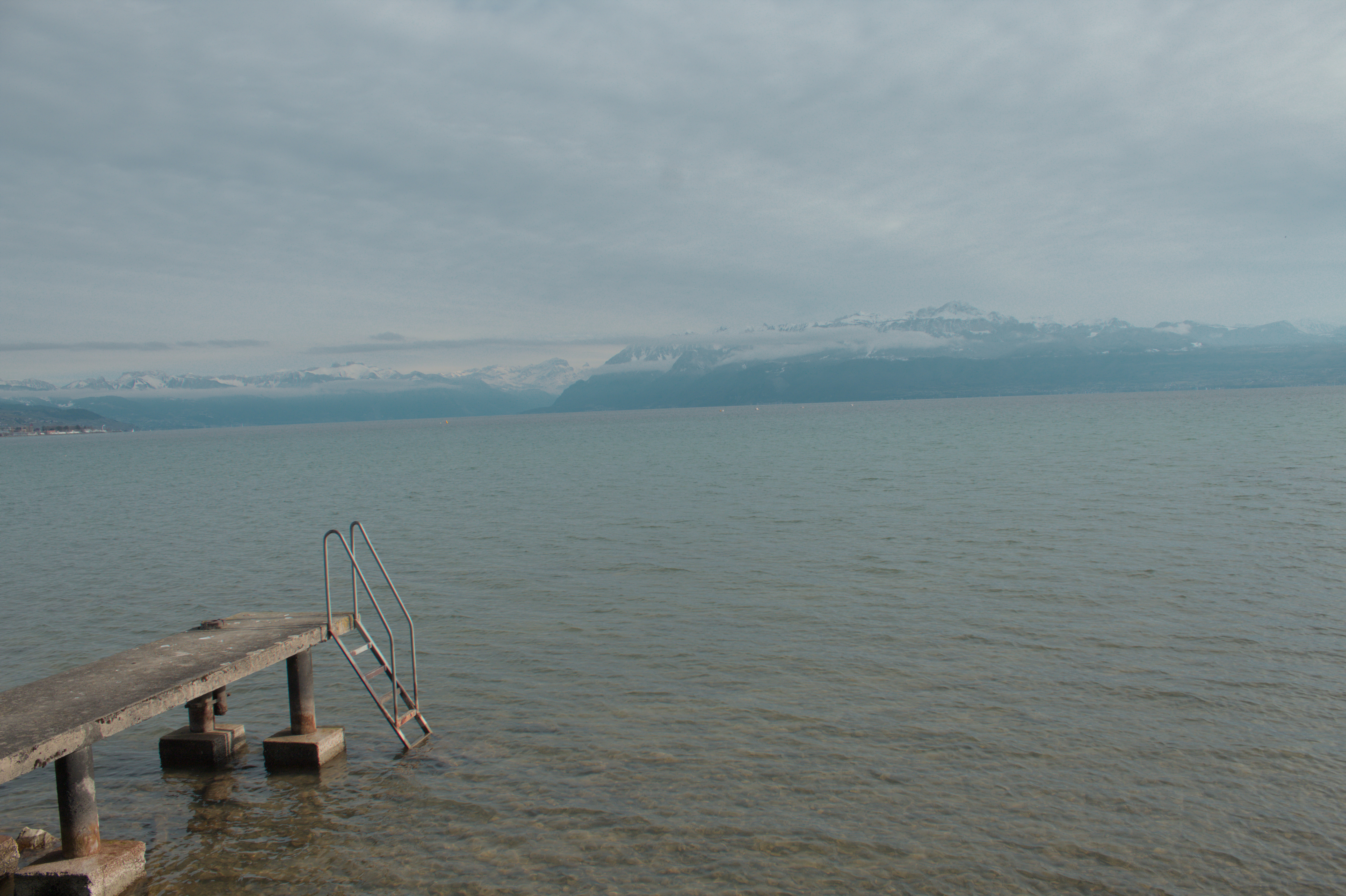 UZH Botanical Garden, Zurich, ZH, Switzerland ~ 3 April 2026